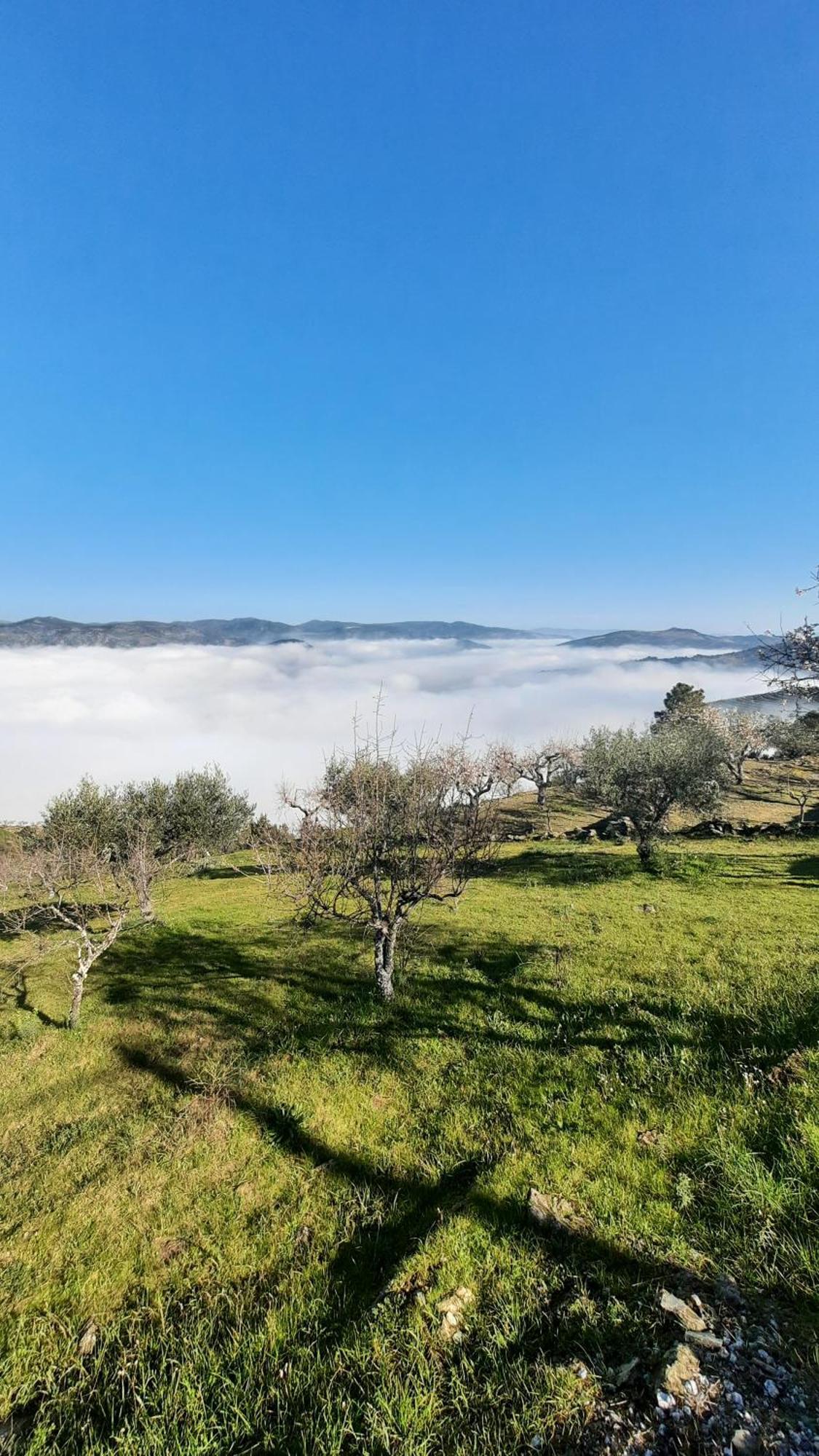 Ferradosa Guesthouse Vale de Figueira Dış mekan fotoğraf