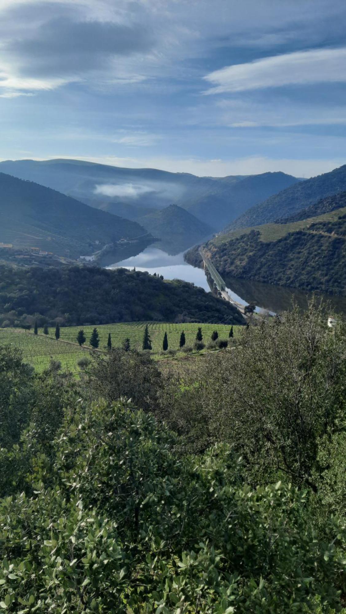 Ferradosa Guesthouse Vale de Figueira Dış mekan fotoğraf